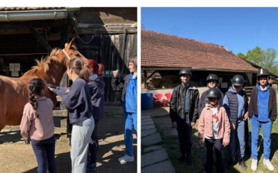 Dan ispunjen ljubavlju i prirodom u udruzi Don Kihot
